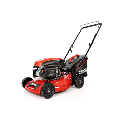 CEDKS42 2025 01