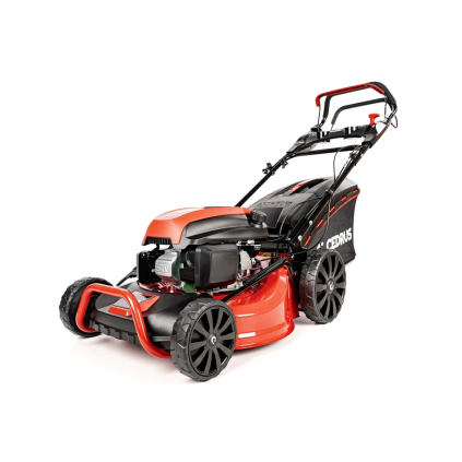 CEDKS48S 2025 01