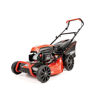 CEDKS48 2025 01