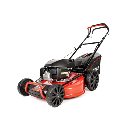 CEDKS56S H 2025 01