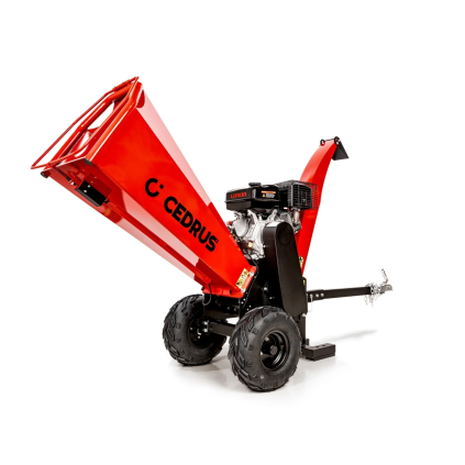 CEDRB03 01