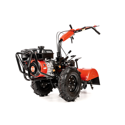 CEDRUSGLX640 01