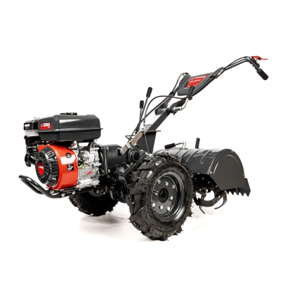 CEDRUSGLX650 01
