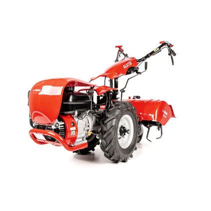 CEDRUSGL11 01