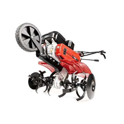 CEDRUSGL500 00