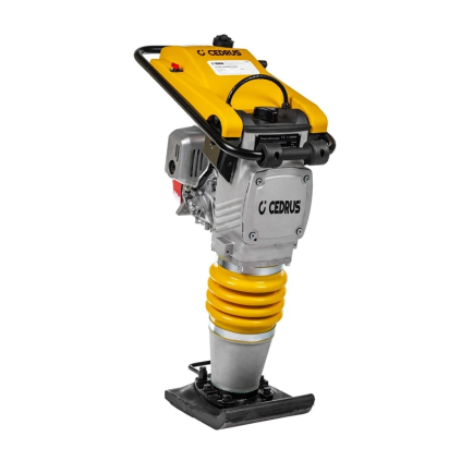 CEDST01 01