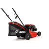 CEDKS42 2025 05
