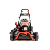 CEDKS48S 2025 02