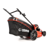 CEDKS48 2025 05