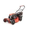CEDKS48 2025 01