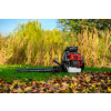 2025 CEDDM05PRO 028