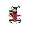 CEDRUSGL06 03c