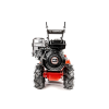 CEDRUSGLX480 02