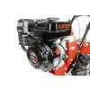 CEDRUSGLX480 11