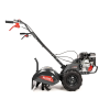 CEDRUSGLX530 04