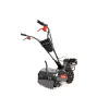 CEDRUSGLX530 05