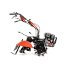 CEDRUSGLX640 05