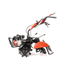 CEDRUSGLX640 10
