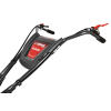 CEDRUSGLX650 16