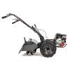 CEDRUSGLX650 03