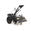 CEDRUSGLX650 06