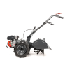 CEDRUSGLX650 07