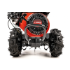 CEDRUSGLX650 10