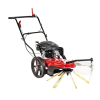 CEDSC02 02