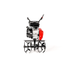CEDRUSGL08 02