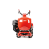 CEDRUSGL11 02