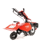 CEDRUSGL11 07