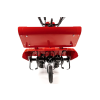 CEDRUSGL11 09