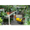 11 blp greenhouse 4