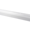 CEDRLW0 02
