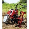 6267 8 pubert quatro junior v3 60h