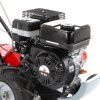 6270 13 pubert roto 404 hd