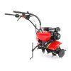 6258 7 pubert vario 55p c3