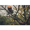 1256 4 stihl gta 40 set vyvetvovaci pila