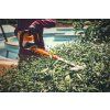 1172 4 stihl hsa 140 r nuzky na zivy plot