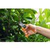 STIHL PG zahradní nůžky (Varianta Varianta:PG 10)