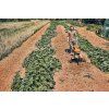 1814 2 stihl rotacni kypric mh 600