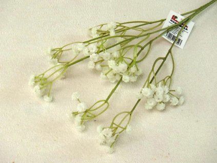 P9050306