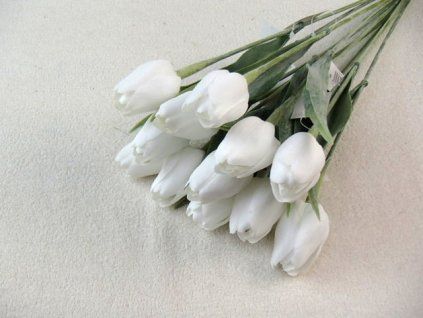P1238237