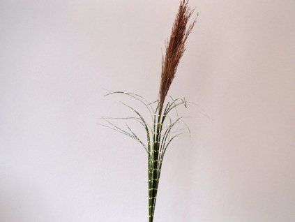 P3214819