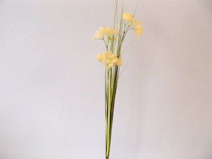 P3214818