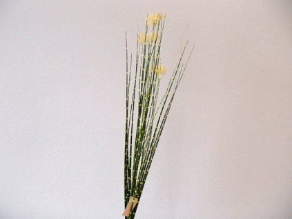P3214817