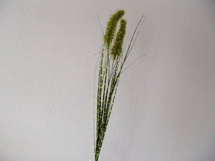 P3214816