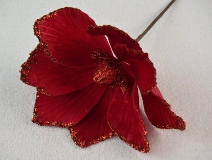 P8278049
