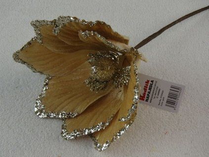P8278047