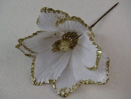 P8278046